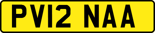 PV12NAA
