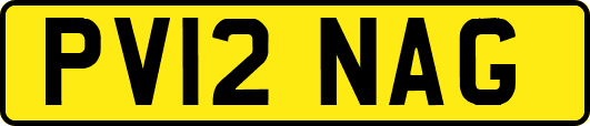 PV12NAG