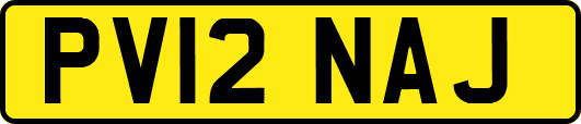 PV12NAJ