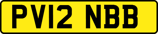 PV12NBB