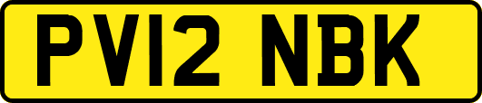 PV12NBK