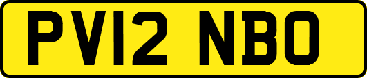 PV12NBO