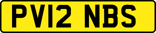 PV12NBS