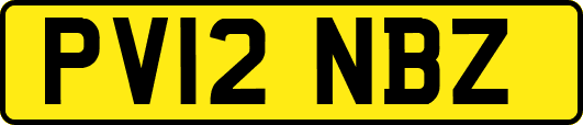PV12NBZ