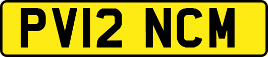 PV12NCM