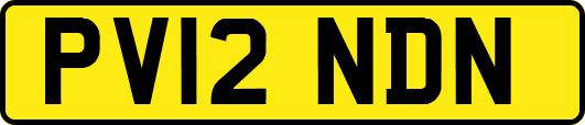 PV12NDN