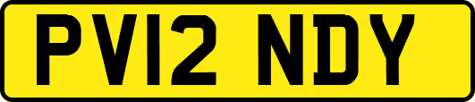 PV12NDY