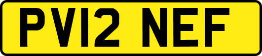 PV12NEF
