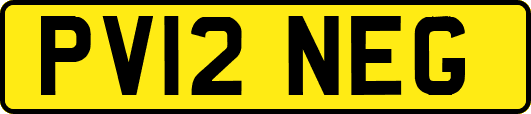 PV12NEG