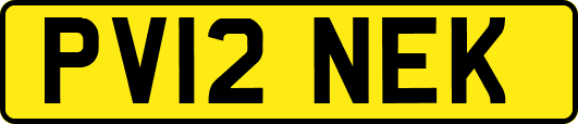 PV12NEK