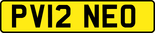 PV12NEO