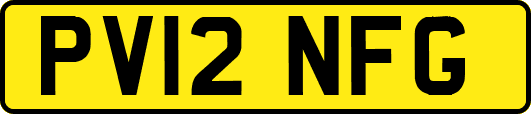 PV12NFG