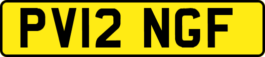 PV12NGF