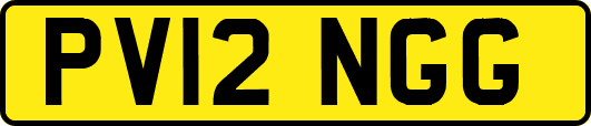PV12NGG