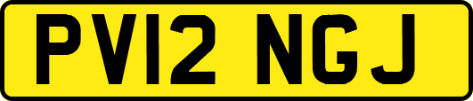PV12NGJ