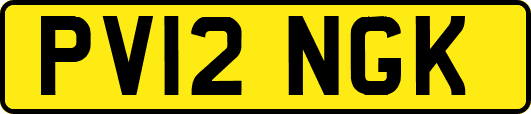 PV12NGK