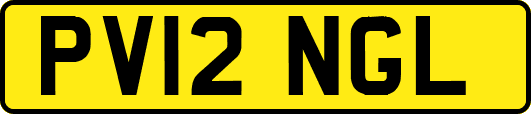 PV12NGL