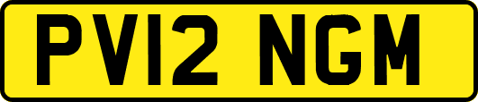 PV12NGM