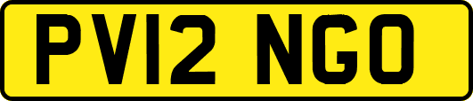 PV12NGO