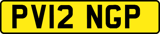 PV12NGP