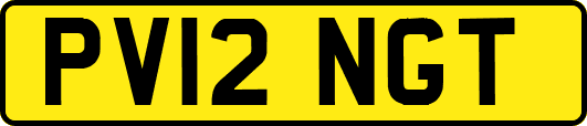 PV12NGT