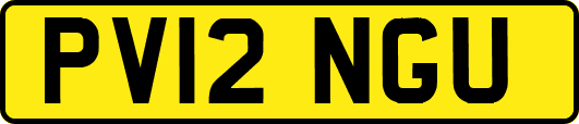 PV12NGU