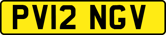 PV12NGV
