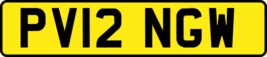 PV12NGW