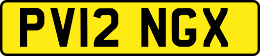 PV12NGX
