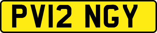 PV12NGY