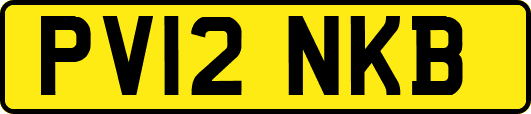 PV12NKB