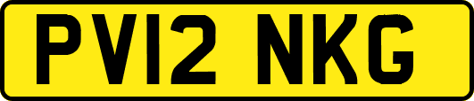 PV12NKG