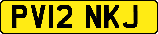 PV12NKJ