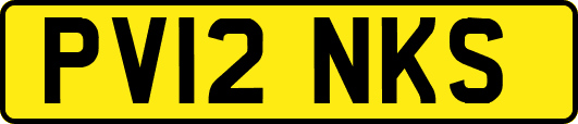 PV12NKS