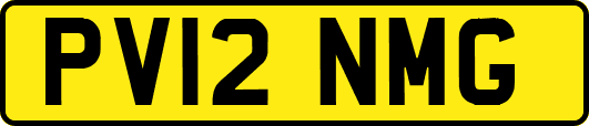 PV12NMG