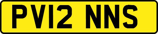 PV12NNS