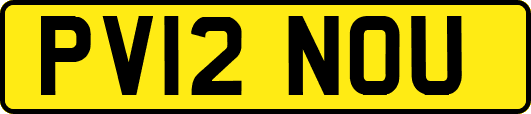 PV12NOU