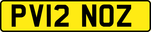 PV12NOZ