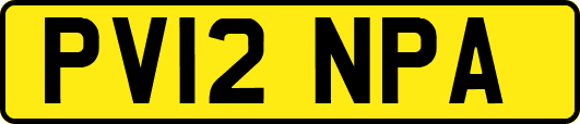 PV12NPA