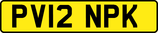 PV12NPK
