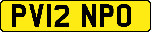 PV12NPO