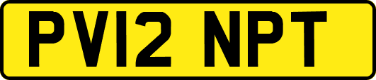 PV12NPT