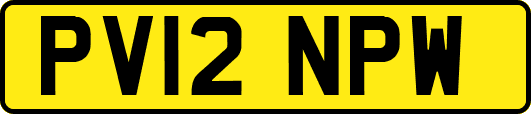 PV12NPW