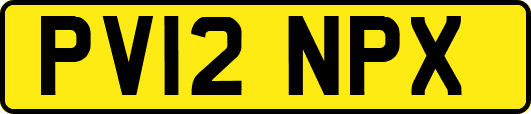 PV12NPX