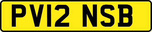 PV12NSB
