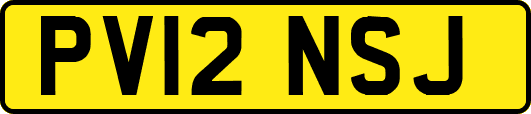 PV12NSJ