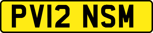 PV12NSM