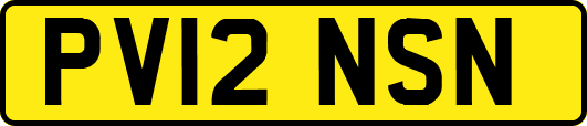 PV12NSN
