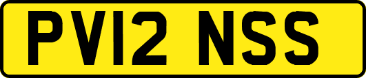 PV12NSS