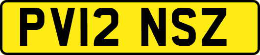 PV12NSZ